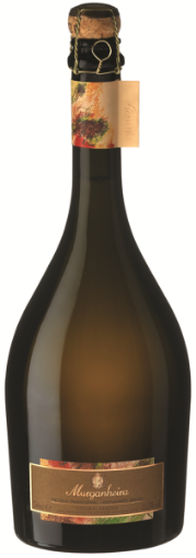 Image de 2011 MURGANHEIRA DOC VINTAGE PINOT BRUT 75cl