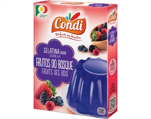 Image de CONDI GELATINA FRUTOS DO BOSQUE 2x85g