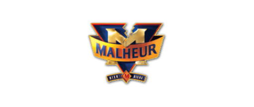 Image de MALHEUR 10 PEITAINER FUT 20L