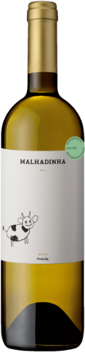 Image de 2023 MALHADINHA BIO, ALENTEJO BLANC 1,5L MAGNUM