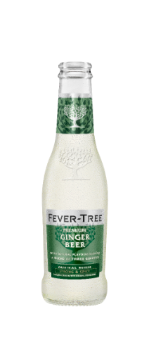 Image de FEVER TREE GINGER BEER 200ml VP