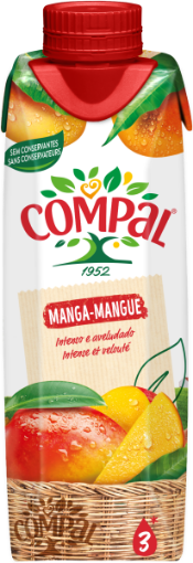 Image de COMPAL NECTAR MANGA 300ml TET