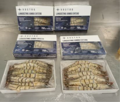 Image de VOSTOQ WOFCO CAMARAO JUMBO INT. CONG. 6/8 750g