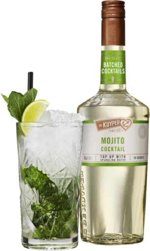 Image de DE KUYPER BAT MOJITO 1L