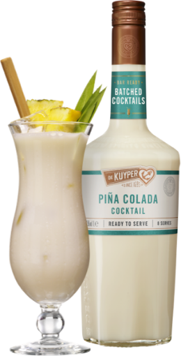 Image de DE KUYPER BAT PINA COLADA BATCHED 1L